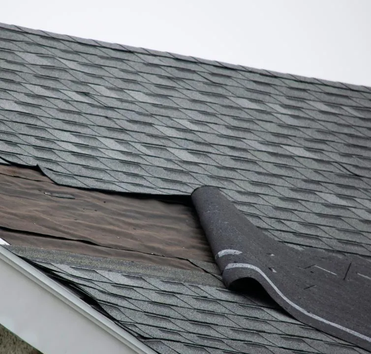 Tile Roofing