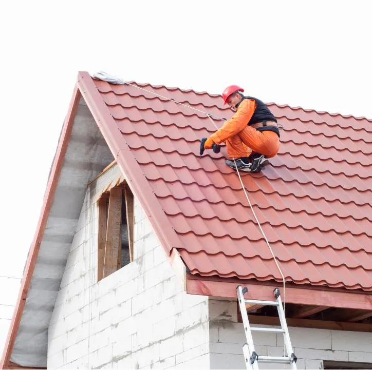 Metal Roofing