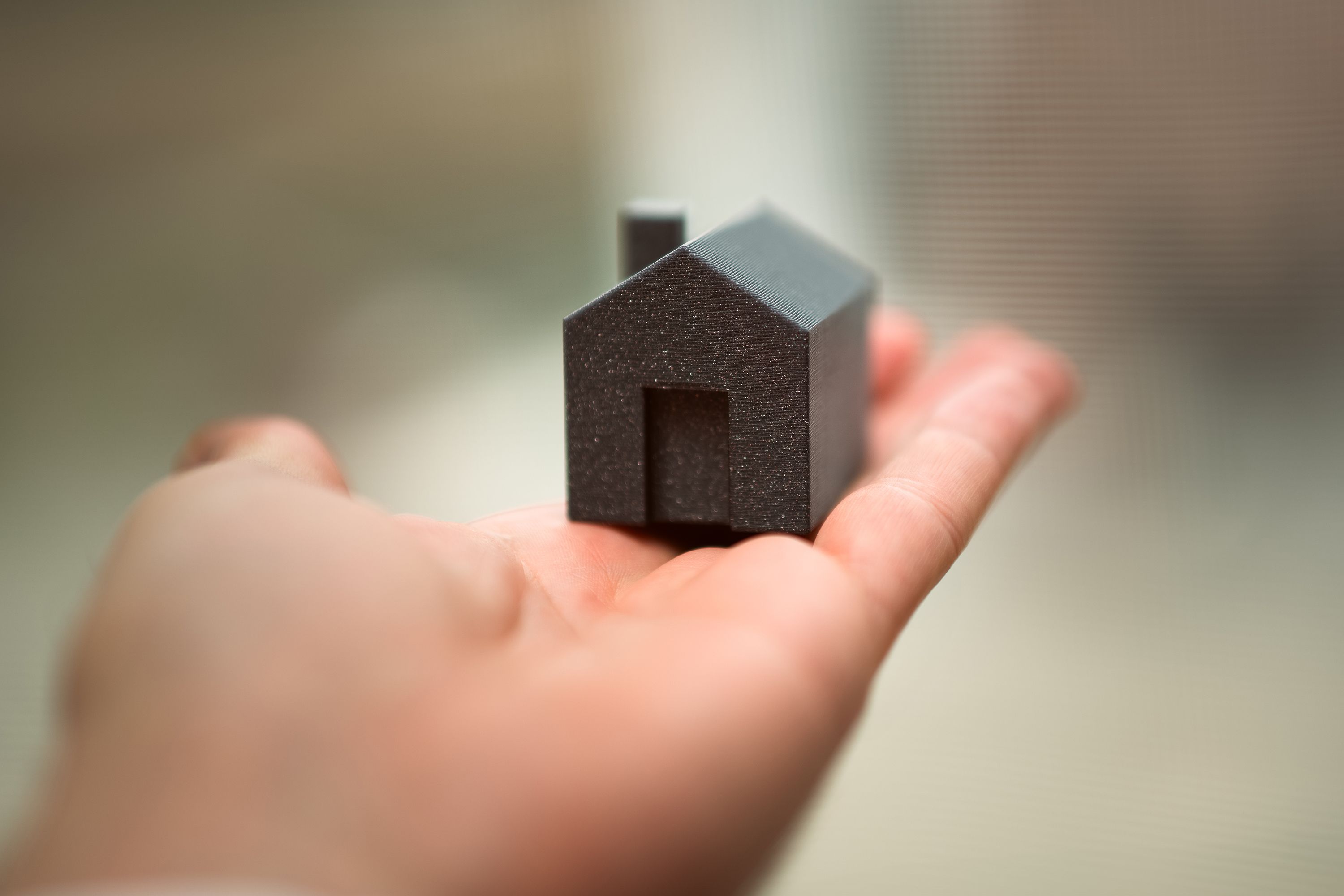 Holding a house miniature