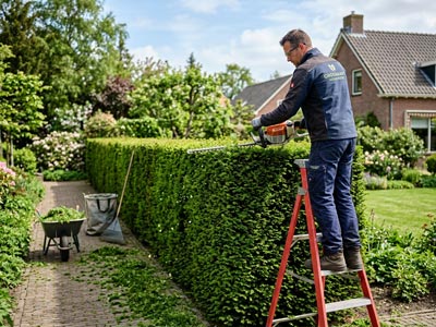 Tuinonderhoud in Eindhoven