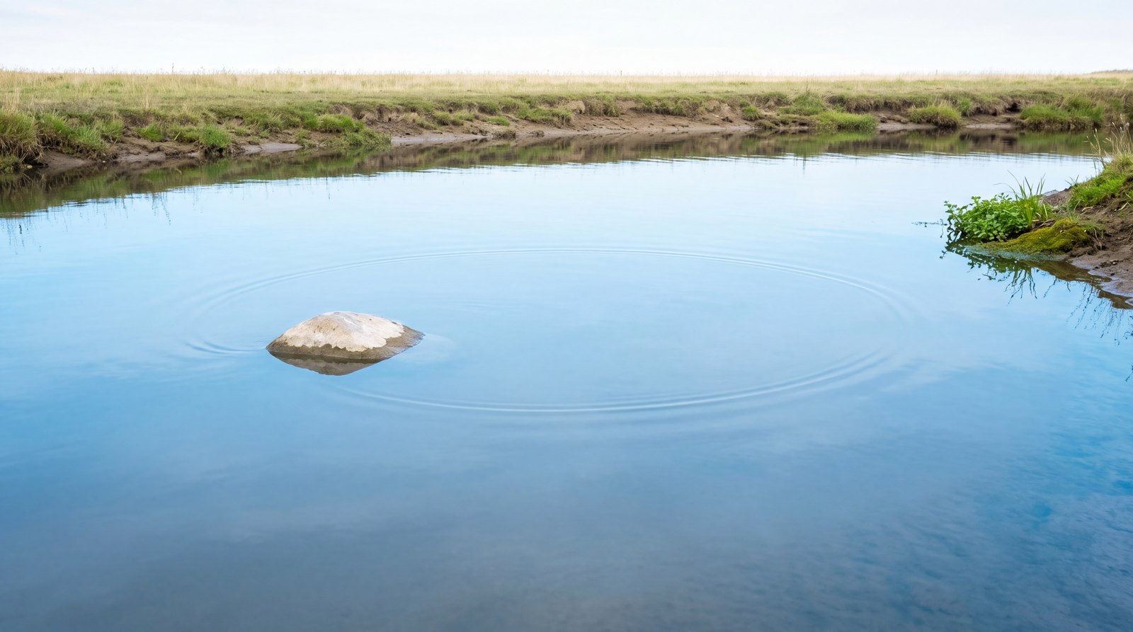 Wide still water with one slow ring reaching the outer edge as the center goes glassy again.