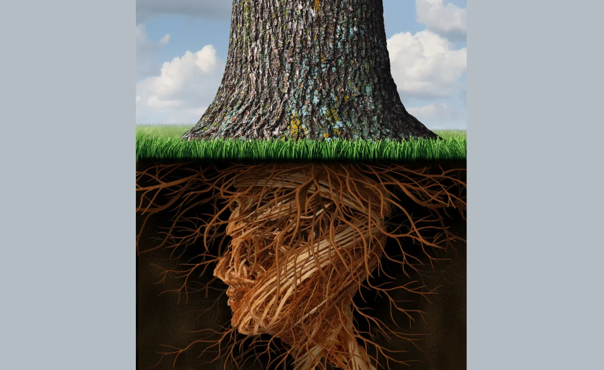 Solve the root of the problem.