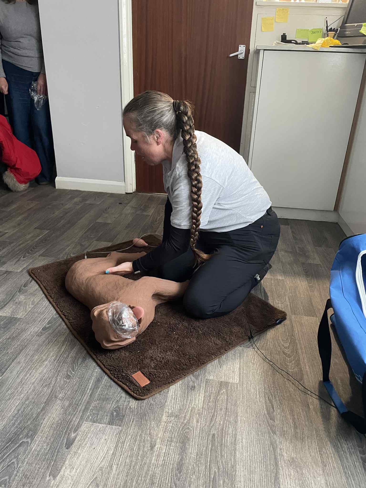 Human giving dog CPR