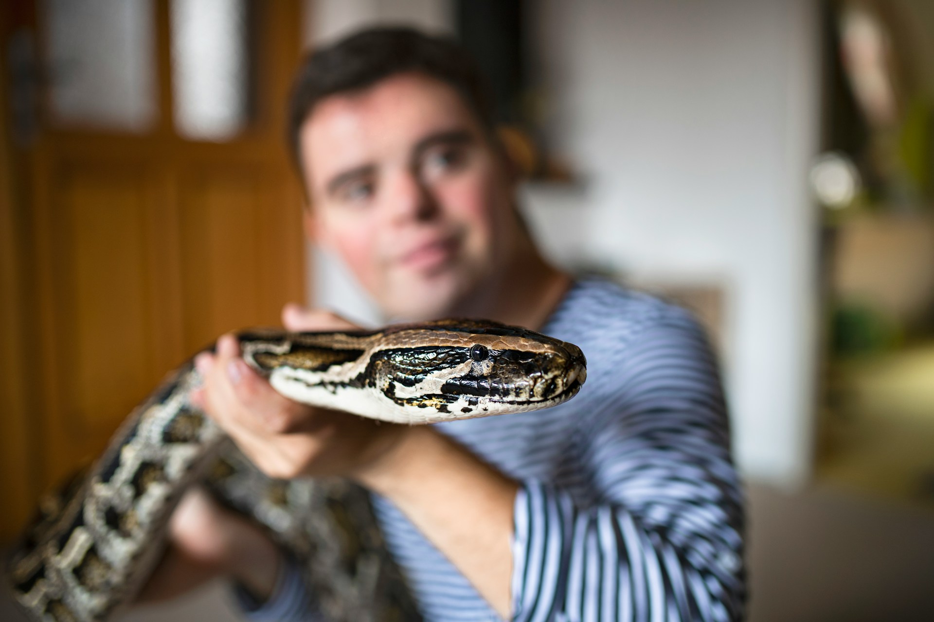 Exploring Exotic Pet Care with a Local Animal Hospital