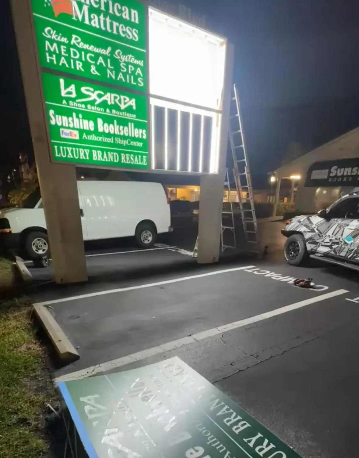 green and yellow fish on water