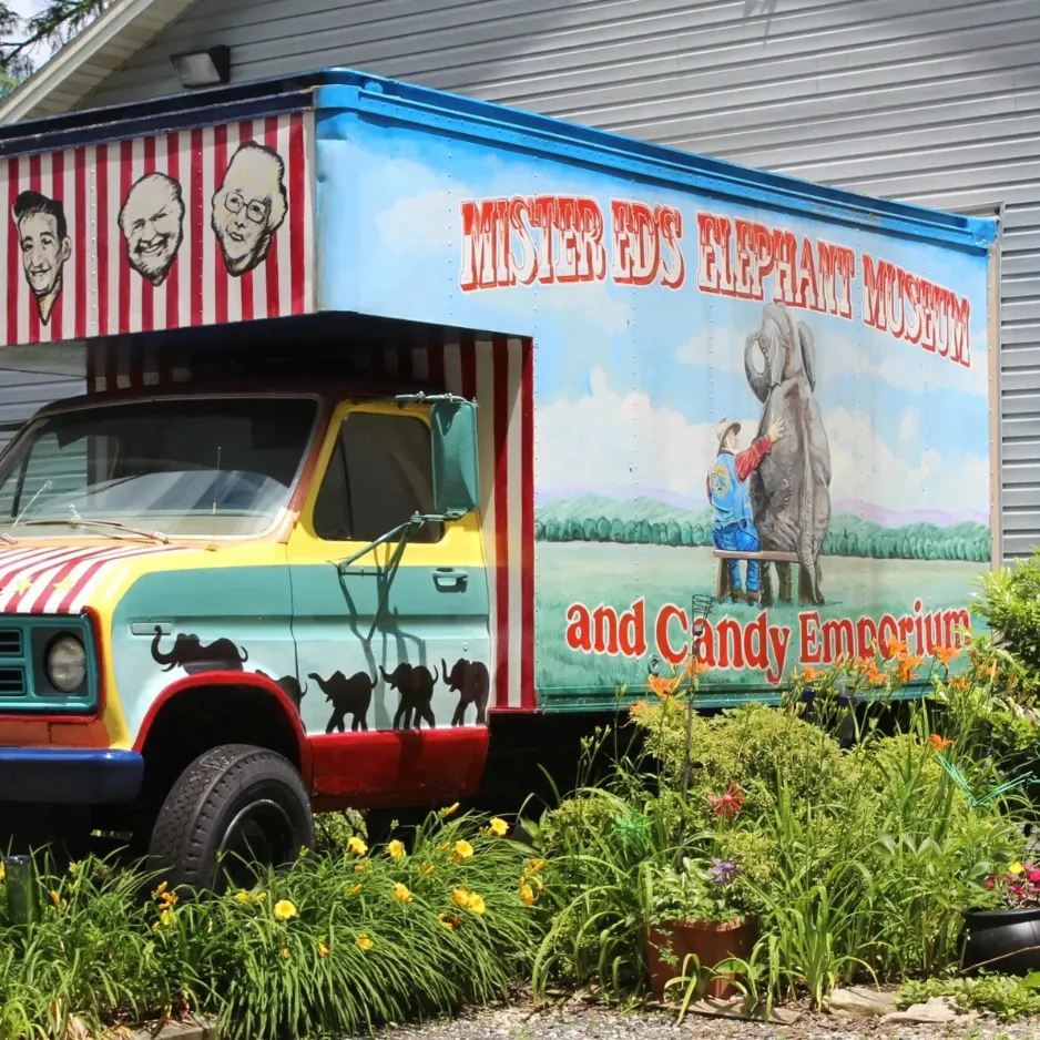 Signary Custom Signs & Grapics