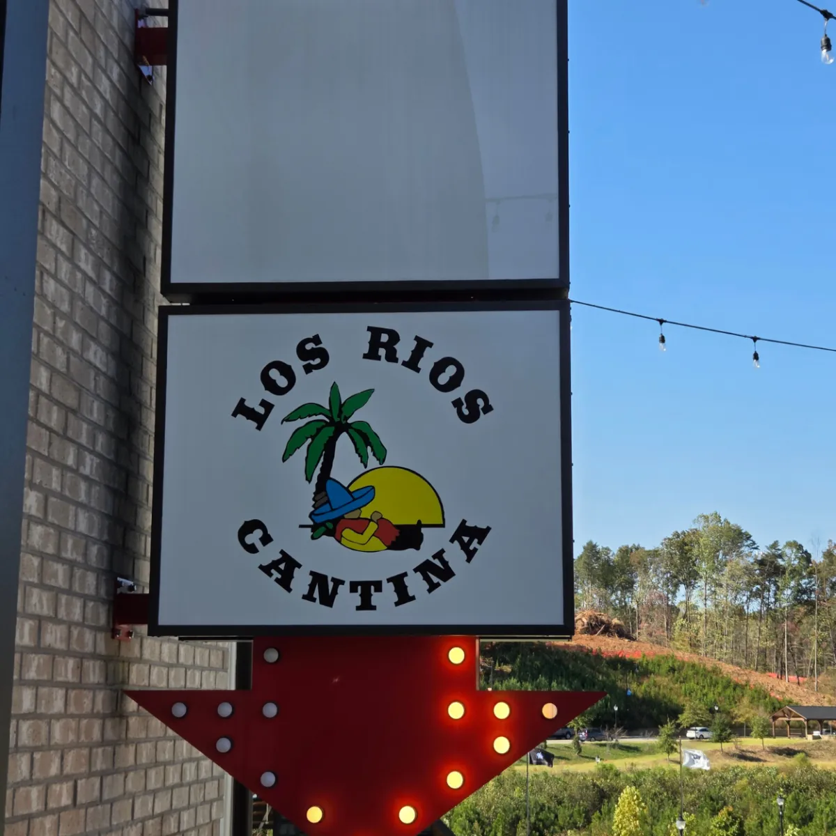 Signary Custom Signs & Grapics