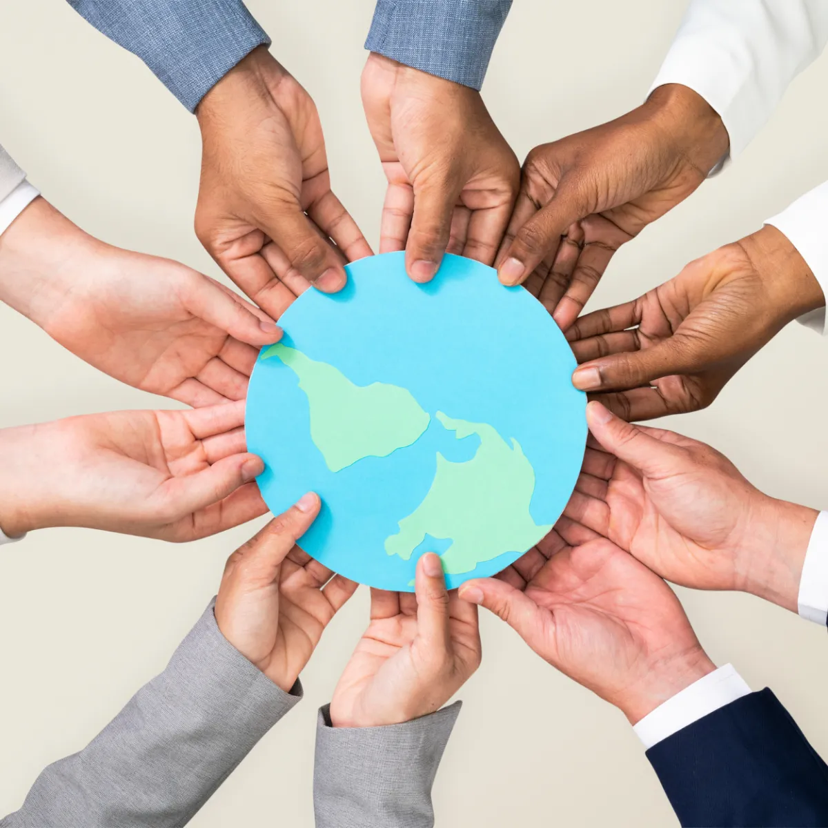 Signary Custom Signs & Grapics