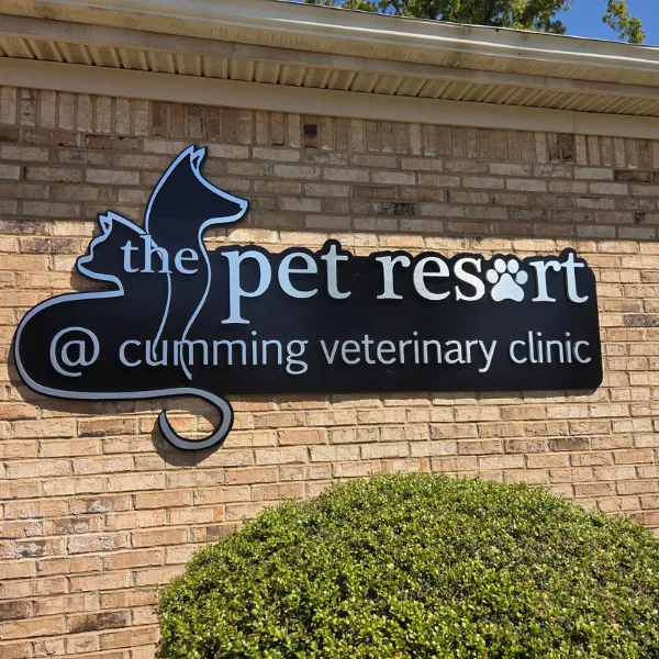 Custom dimensional building sign for The Pet Resort at Cumming Veterinary Clinic, featuring a black background and white script letters, installed in Cumming, GA.