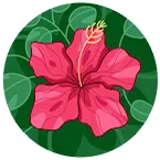 Nick G Profile Picture