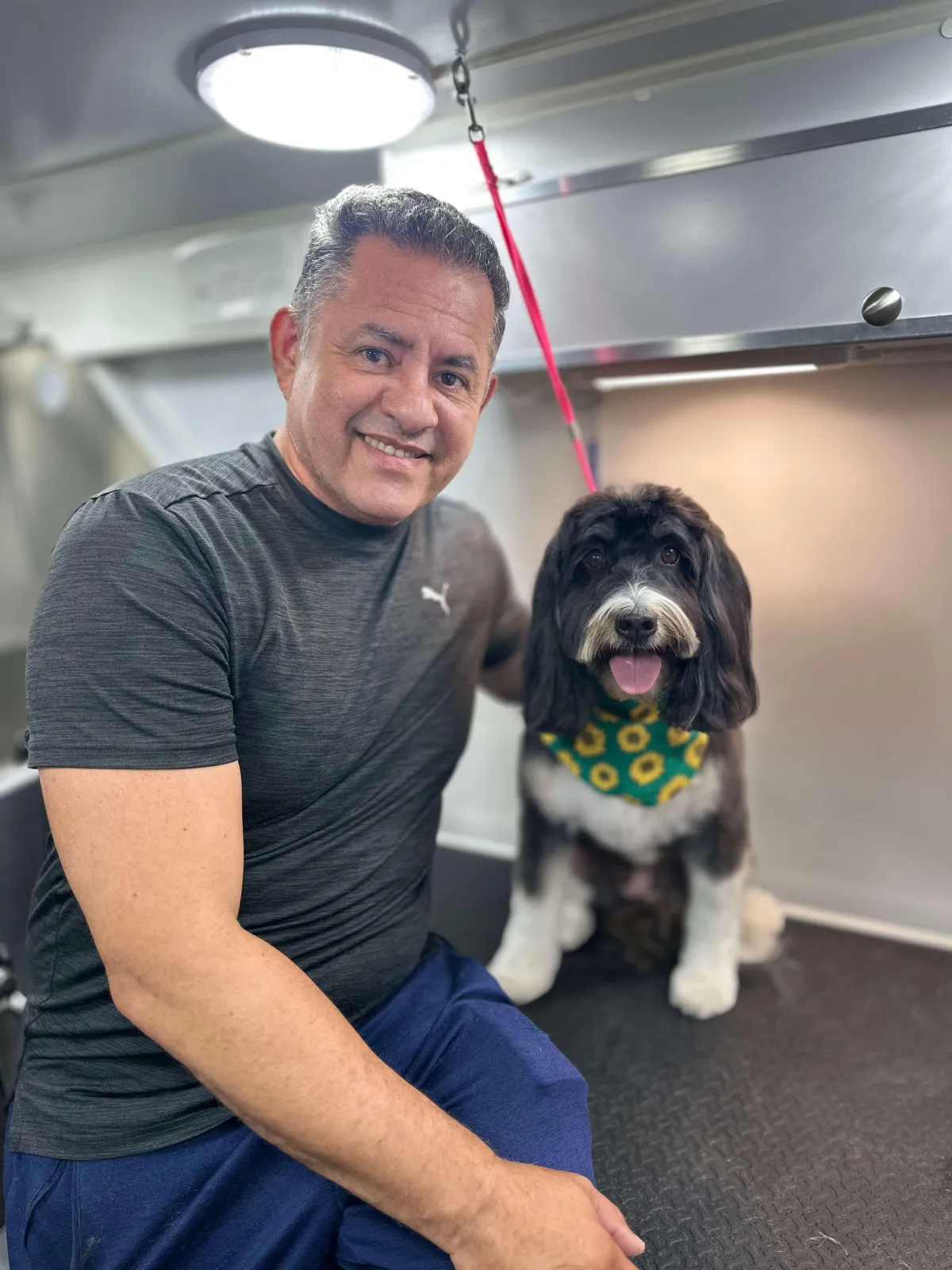 yellow skid steer loader in front of stone