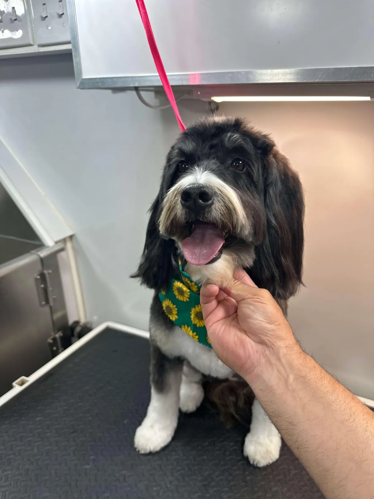 yellow skid steer loader in front of stone