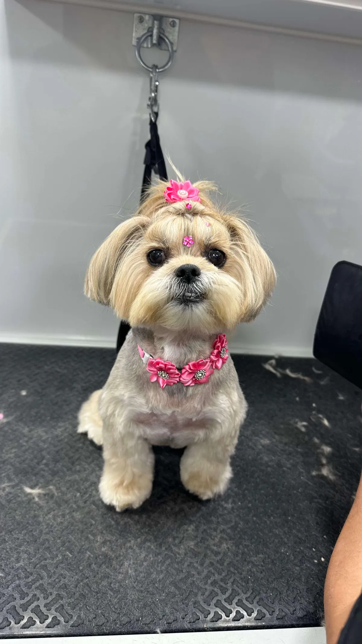 yellow Caterpillar excavator digging up dirt
