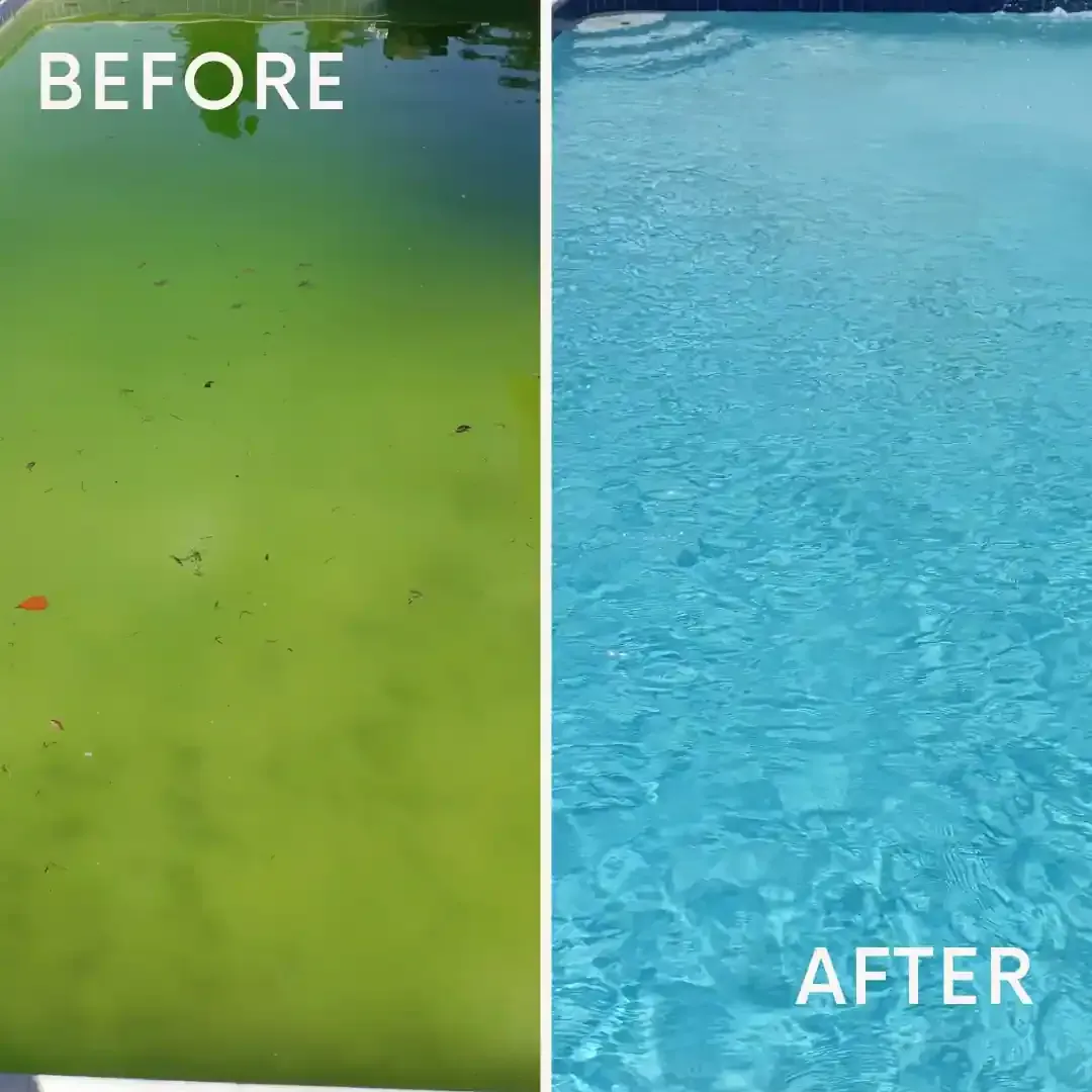 Before and After Pool Cleaning Service