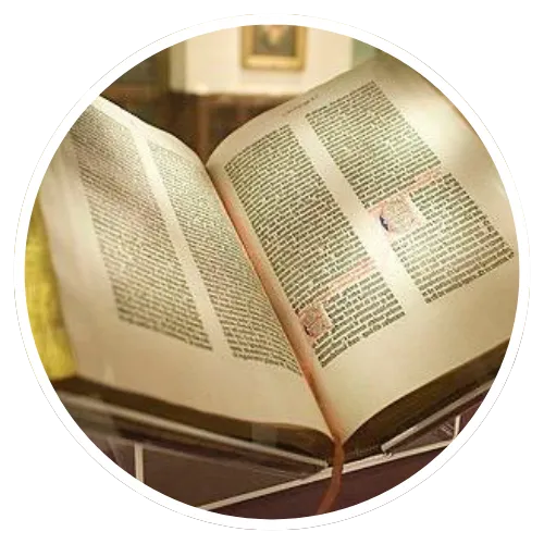 Chrnological Bible In A Year