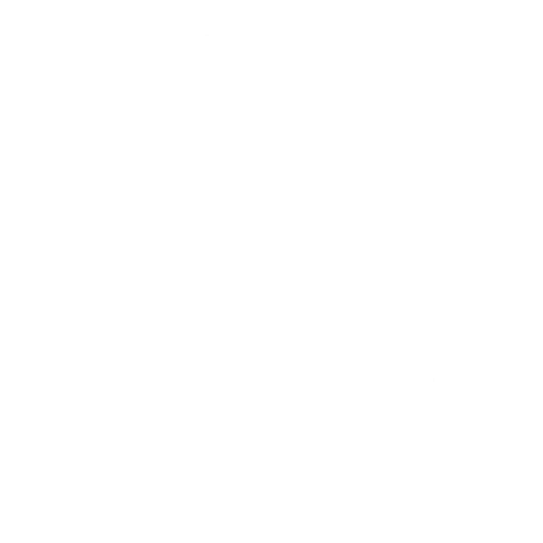 NobleSteed Logo