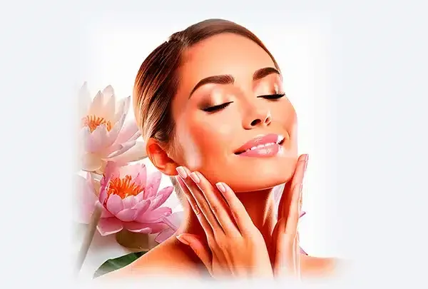 Stem Cells for Disc Regeneration