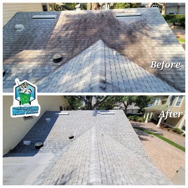 roof cleaning