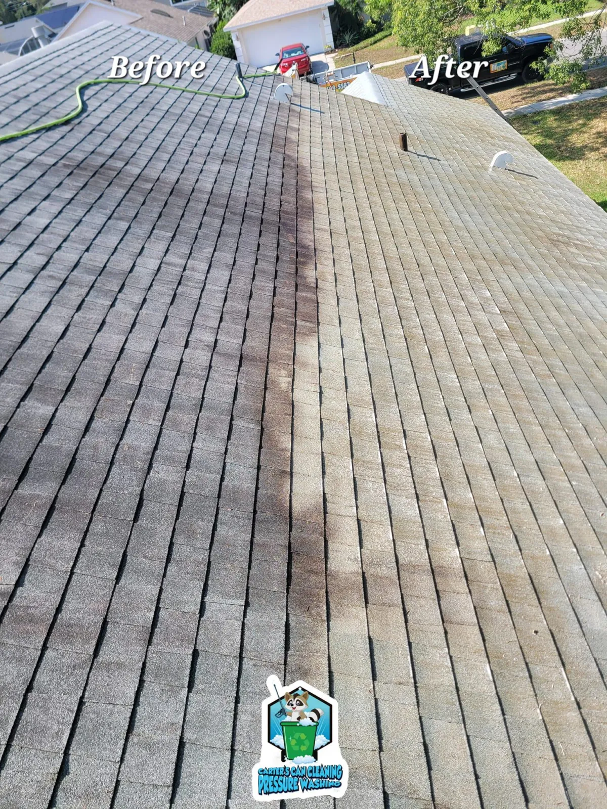 roof cleaning