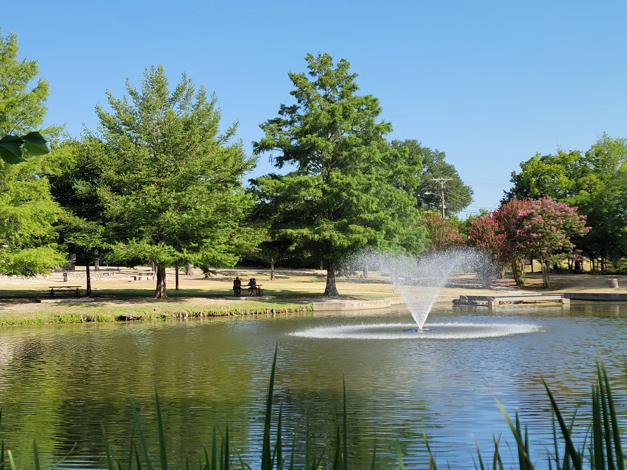 Car Rental Near Me in Dallas, TX: Your Ultimate Guide to Finding the Best Car Rental in Parker, TX and Beyond