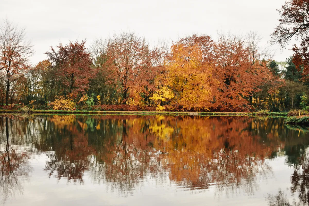 best therapy for anxiety in Connecticut depression counseling near me in Connecticut online therapy for anxiety in Connecticut in-person therapy for depression in Connecticut licensed therapist for anxiety and depression CT private counseling sessions in Connecticut affordable therapy for anxiety in Connecticut mental health therapist near me CT one-on-one counseling in Connecticut individual therapy for depression CT