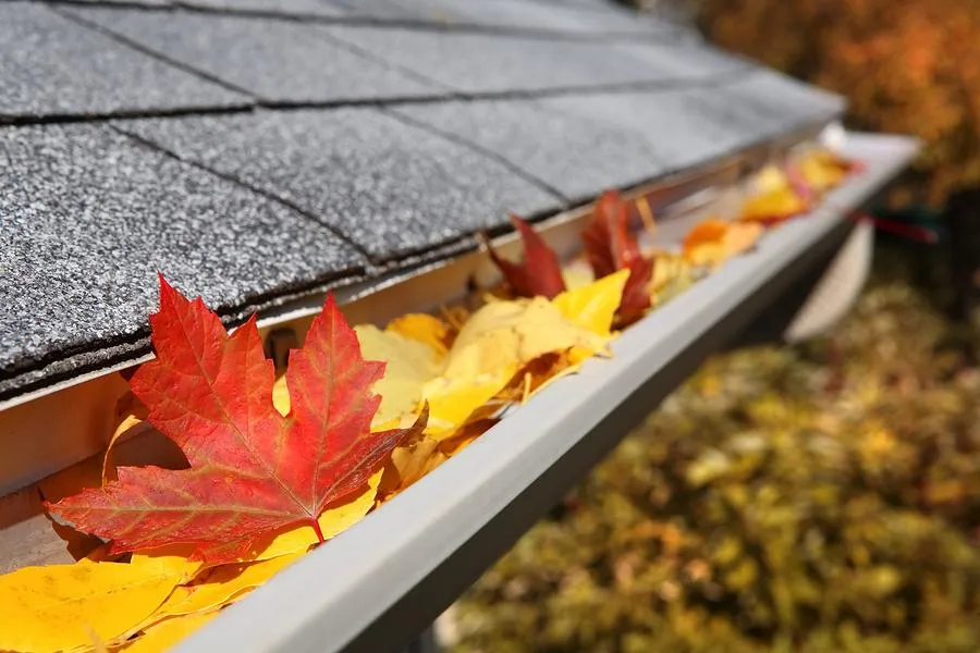 centennial gutter cleaning