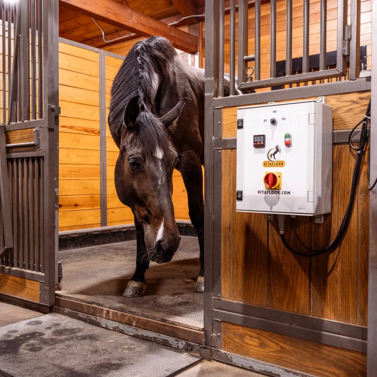 Hudson AquaPacer+ Water Treadmill