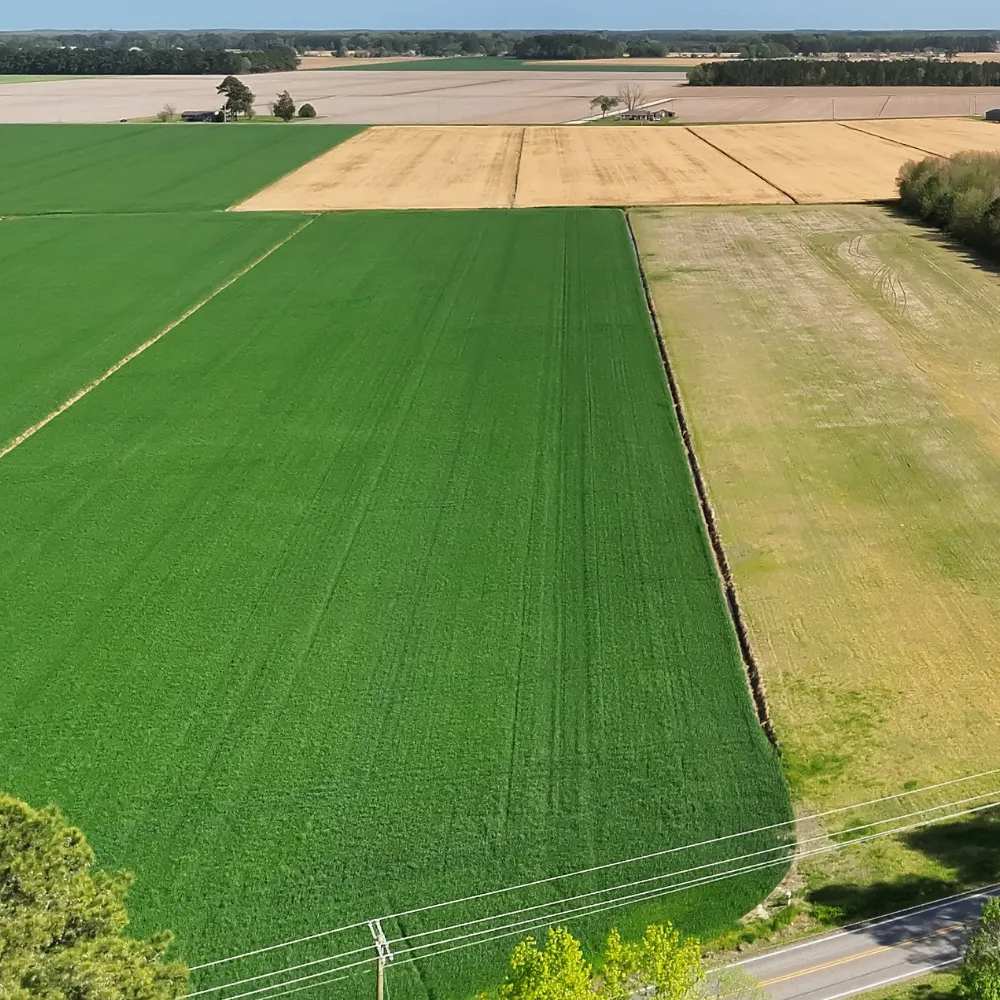 Agriculture and Land Management