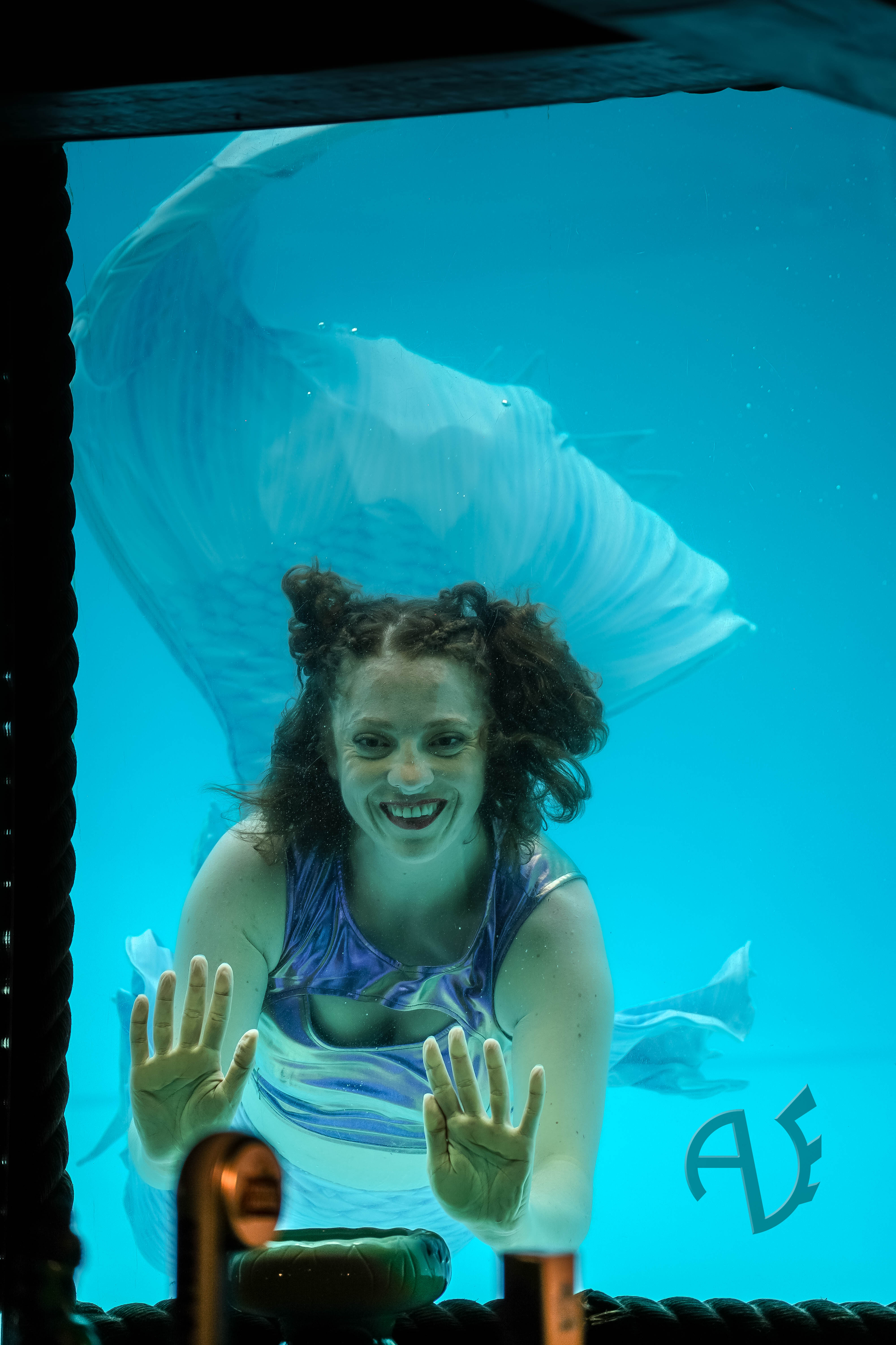 Mermaid Jacy performing in a tank, her hands press against the wall of the tank
