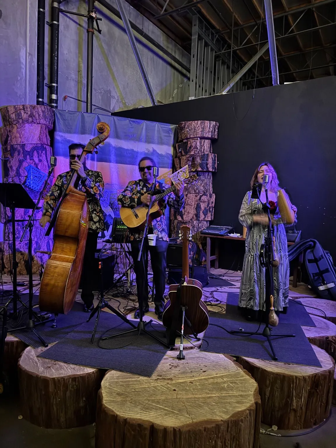 A band playing upright bass, guitar and vocals on the Mt Baldy Brewery stage