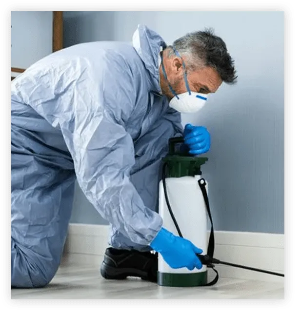 Mr Beez Termite & Pest Control Coachella Valley Pest Control