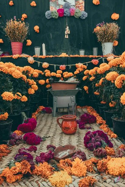Roger Ce Dia de los Muertos Offering on Unsplash