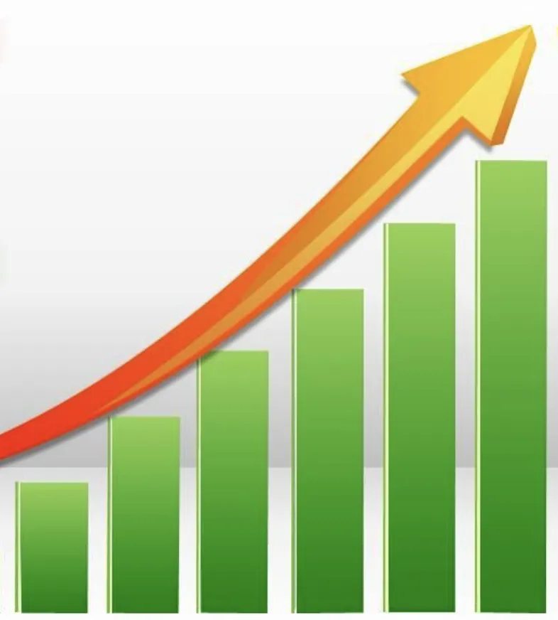 Why Growth Exposes Weaknesses in Business Systems