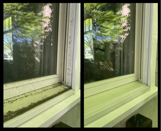 Technician using professional tools to clean interior glass