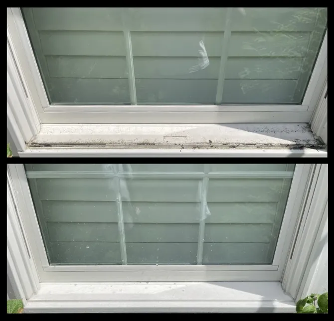 ClearView team cleaning large home windows from the exterior
