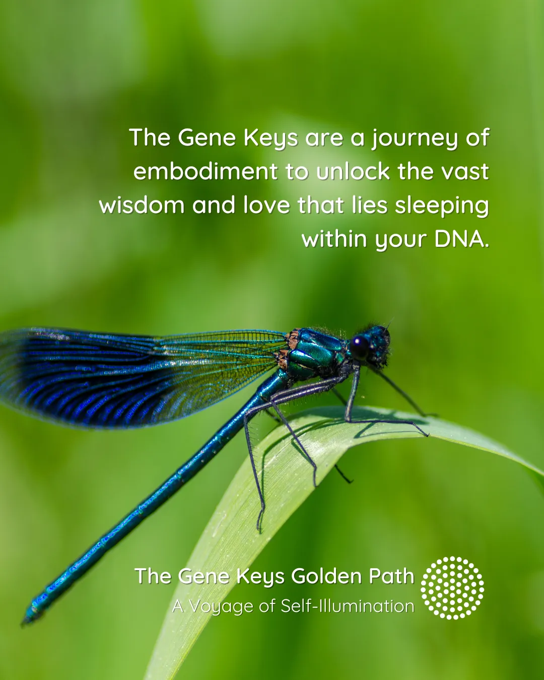 Abstract blue and orange radiating pattern