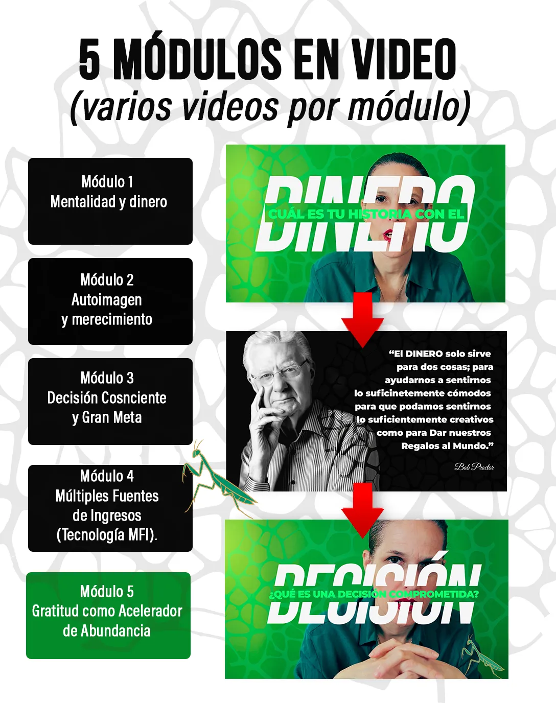 Easy simple easy to follow video tutorials