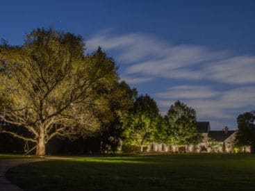 Tree Lighting in Fishers