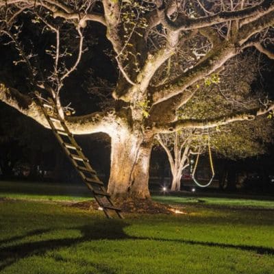 Path Lighting Fishers