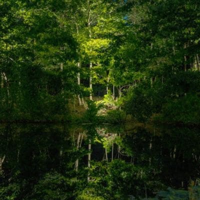 Pool Deck Lighting Fishers