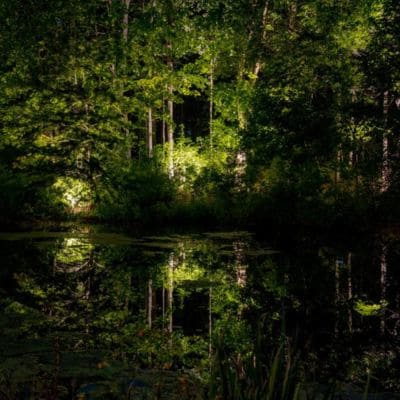 Pool Deck Lighting Fishers