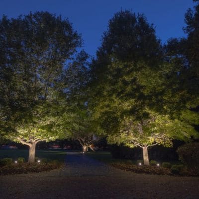 Landscape Lighting Service Fishers