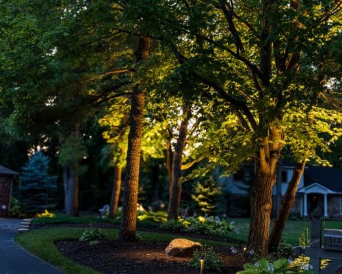 Noblesville Tree Lighting