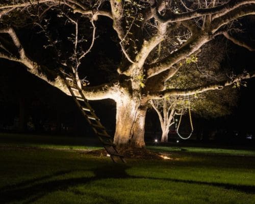  Landscape Lighting Design