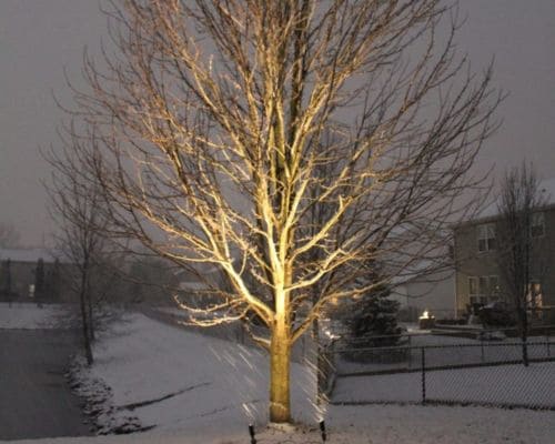  Landscape Lighting Design