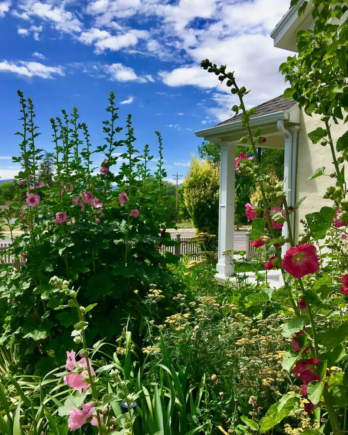 Things to Do Spring City