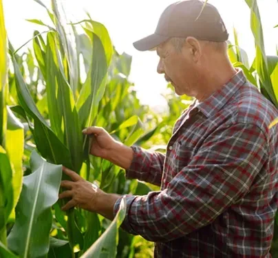 Farm Insurance