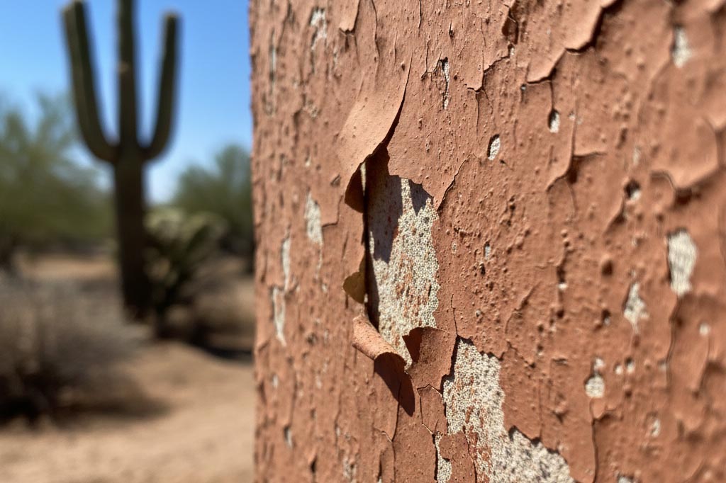 Exterior Painting and Stucco  repair  services in Tucson AZ with Monsoon Renovations  