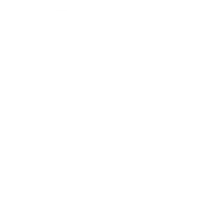 2024 SW Business Excellence Awards - Winner Trophy