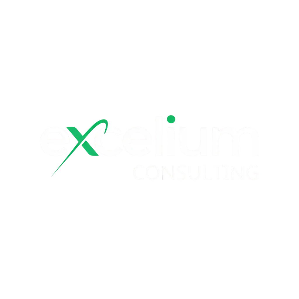 Excelium HR INC